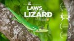 Watch Laws of the Lizard Letmewatchthis