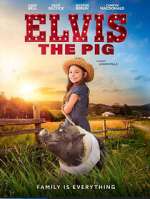 Watch Elvis the Pig Letmewatchthis