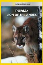 Watch National Geographic Puma: Lion of the Andes Letmewatchthis