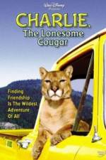 Watch Charlie, the Lonesome Cougar Letmewatchthis