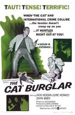 Watch The Cat Burglar Letmewatchthis