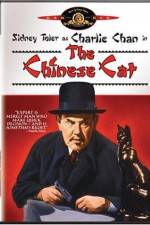Watch Charlie Chan in The Chinese Cat Letmewatchthis
