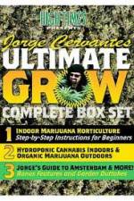 Watch Jorge Cervantes Ultimate Grow Complete Box Set Letmewatchthis