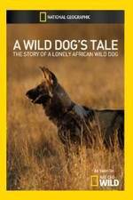 Watch A Wild Dogs Tale Letmewatchthis