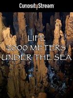 Watch Life 2,000 Meters Under the Sea Letmewatchthis