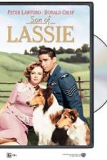 Watch Son of Lassie Letmewatchthis