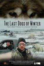 Watch The Last Dogs of Winter Letmewatchthis