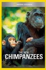 Watch The New Chimpanzees Letmewatchthis