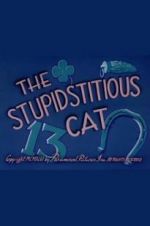 Watch The Stupidstitious Cat Letmewatchthis