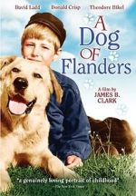 Watch A Dog of Flanders Letmewatchthis