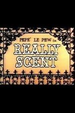 Watch Really Scent (Short 1959) Letmewatchthis