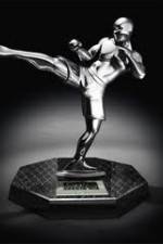 Watch World MMA Awards 2010 Letmewatchthis