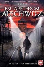 Watch The Escape from Auschwitz Letmewatchthis