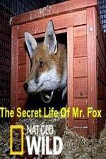 Watch The Secret Life of Mr. Fox Letmewatchthis