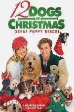Watch 12 Dogs of Christmas Great Puppy Rescue Letmewatchthis
