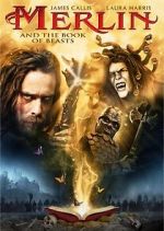 Watch Merlin and the Book of Beasts Letmewatchthis