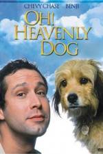Watch Oh Heavenly Dog Letmewatchthis
