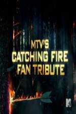 Watch MTV?s The Hunger Games: Catching Fire Fan Tribute Letmewatchthis