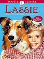 Watch Lassie: A New Beginning Letmewatchthis