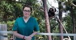 Watch Sue Perkins and the Chimp Sanctuary Letmewatchthis