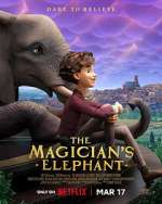 Watch The Magician's Elephant Letmewatchthis