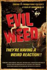 Watch Evil Weed Letmewatchthis