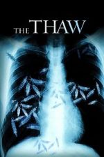 Watch The Thaw Letmewatchthis