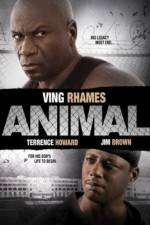 Watch Animal Letmewatchthis