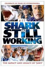 Watch The Shark Is Still Working Letmewatchthis