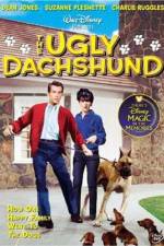 Watch The Ugly Dachshund Letmewatchthis