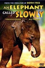 Watch An Elephant Called Slowly Letmewatchthis