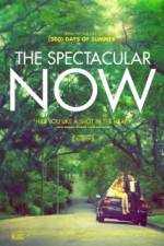 Watch The Spectacular Now Letmewatchthis