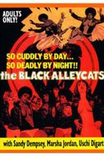 Watch The Black Alley Cats Letmewatchthis