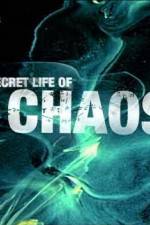 Watch The Secret Life of Chaos Letmewatchthis