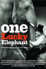Watch En lycklig elefant Letmewatchthis