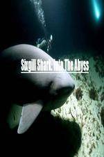 Watch National Geographic Wild Sixgill Shark Into The Abyss Letmewatchthis