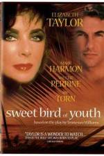 Watch Sweet Bird of Youth Letmewatchthis