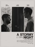 Watch A Stormy Night Letmewatchthis