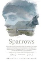 Watch Sparrows Letmewatchthis