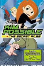 Watch "Kim Possible" Attack of the Killer Bebes Letmewatchthis