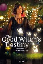 Watch The Good Witchs Destiny Letmewatchthis