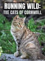 Watch Running Wild: The Cats of Cornwall (TV Special 2020) Letmewatchthis