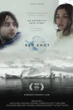 Watch Red Knot Letmewatchthis