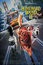 Watch Homeward Bound II: Lost in San Francisco Letmewatchthis