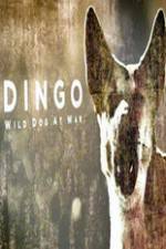 Watch Dingo Wild Dog at War Letmewatchthis