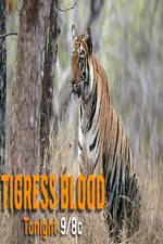 Watch Discovery Channel-Tigress Blood Letmewatchthis