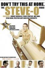 Watch Don't Try This at Home The Steve-O Video Letmewatchthis