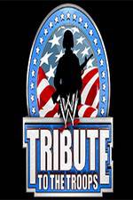 Watch WWE Tribute to the Troops Letmewatchthis