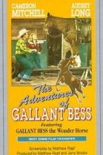 Watch Adventures of Gallant Bess Letmewatchthis