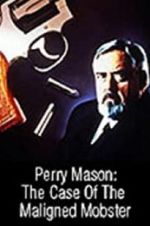 Watch Perry Mason: The Case of the Maligned Mobster Letmewatchthis